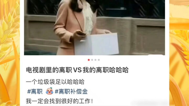 Cầu xin các biên kịch khi viết phim về công sở thì hãy đi làm hai ngày đã nhé!