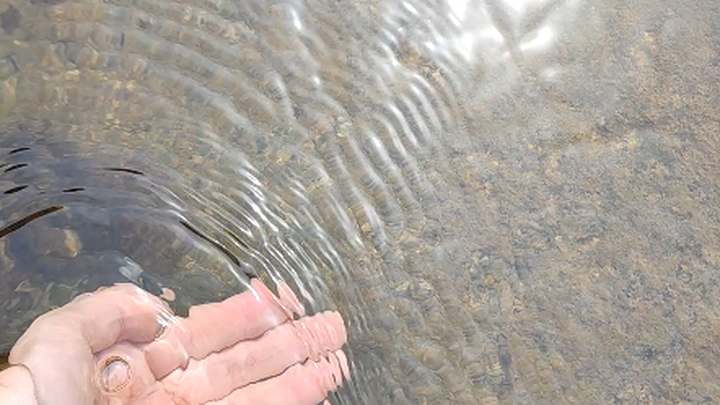 Water quality’s pretty good [doge]