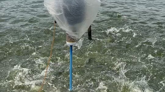 经历过了才知道苦啊仁者见仁智者见智。