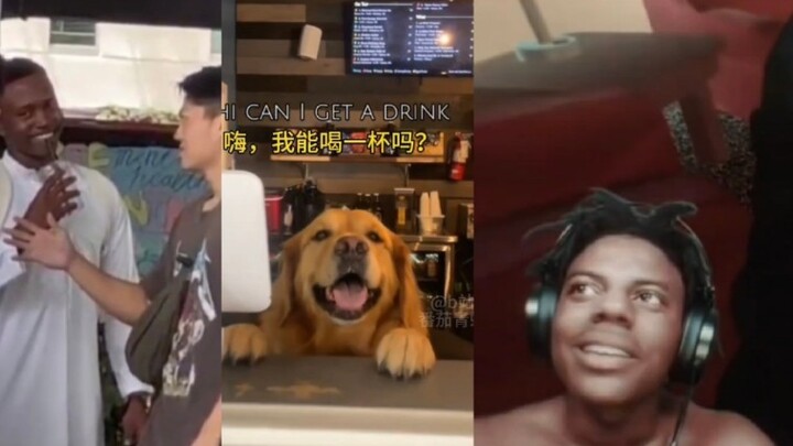 【คลิปวิดีโอบ้าบอสุดแนวจาก TikTok #29】