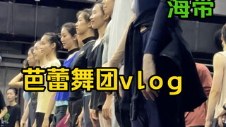 该来看神仙单位里的电子榨菜们了