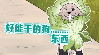 منذ أن اقتنيت هذا الكلب، أصبحت أفتح علب المفاجآت في المنزل كل يوم!