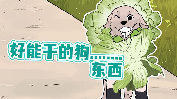 Ever since I got this dog, I've been opening mystery boxes at home every day~