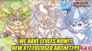 We Have Eevees Now!? New Yu-Gi-Oh! XYZ Focused Archetype!