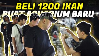 BELI 1200 IKAN BUAT ISI AQUARIUM BARU !! - #BEMOVLOG