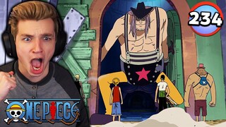 The Straw Hats VS. Franky Family!! | One Piece REACTION Episode 234