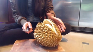 แกะทุเรียนกิน ได้ทุเรียนแช่แข็ง /เมียฝรั่งที่อเมริกา/ ชีวิตในอเมริกา (durian)