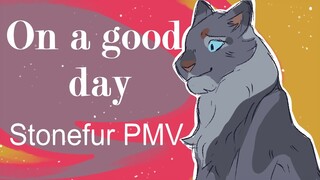 Warrior Cats Stonefur PMV: On a good day