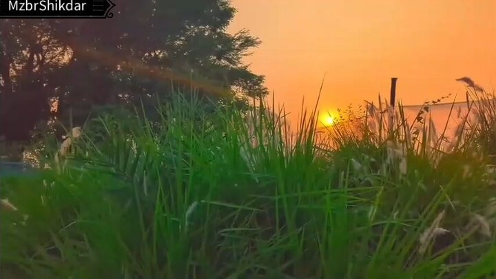 *সব সময় নিজের ইচ্ছা অনুযায়ী সব হয় নাহ অনেক সময় নিজের প্রিয় ইচ্ছা গুলোও চুপ করে মাটি দিয়ে দিতে হয়...