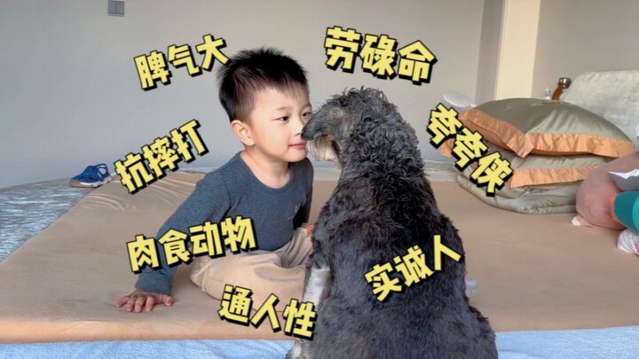 【ebao Nhất Bảo】Mười tám món võ nghệ, bé Nhuận Tử hai tuổi của tôi đều làm được hết