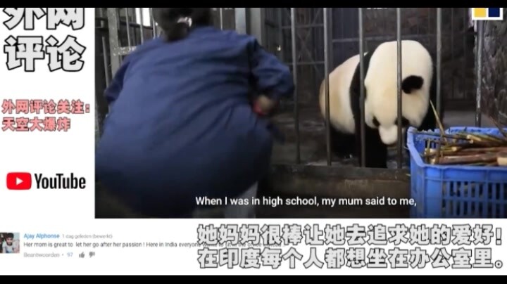 日本女子因太喜欢熊猫，只身前往中国当饲养员，YouTube网友评论