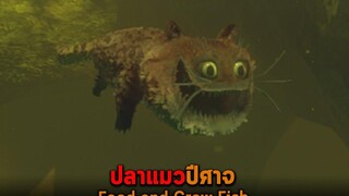 ปลาแมวปีศาจ Feed and Grow Fish