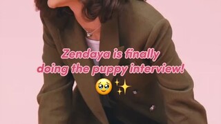 เซนดาย่าเห็นหมาแล้วใจละลาย!