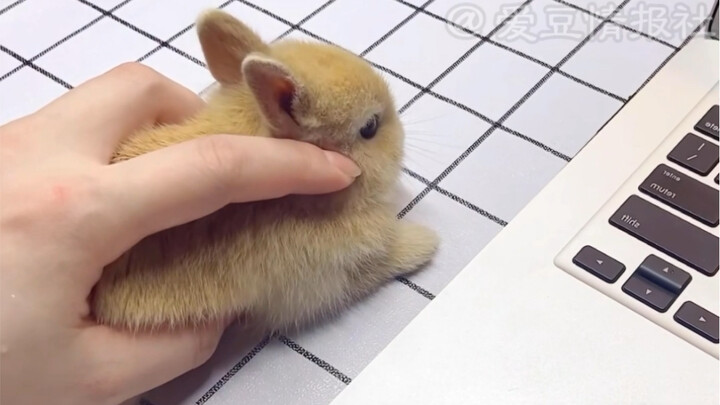 Essential Office Items for Winter