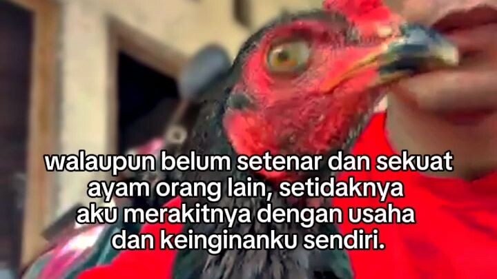 Cuma Hobi 😁👌