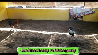 Joe Black Henny vs Silver bullet Kanaway