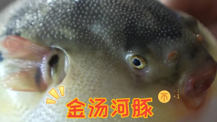 Một miếng thơm ngon, hai miếng là đã yêu ngay món cá nóc nước dùng vàng này!