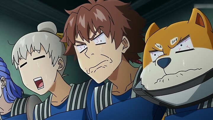 [Ten Cold] Top survival desire, everything can be cat