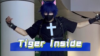 《Tiger Inside》小猫咪的耳朵是不准摸的！！！