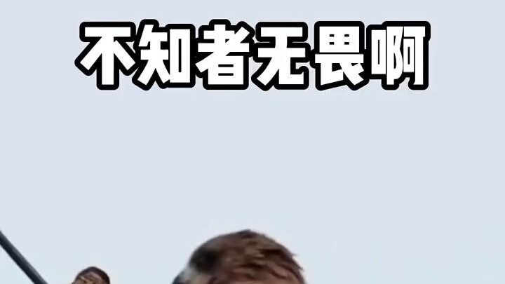 ก็เหมือนจะไม่มีอะไรผิดปกตินะ!