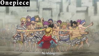 Luffy xả thân minh bảo vệ đồng đội #Onepiece