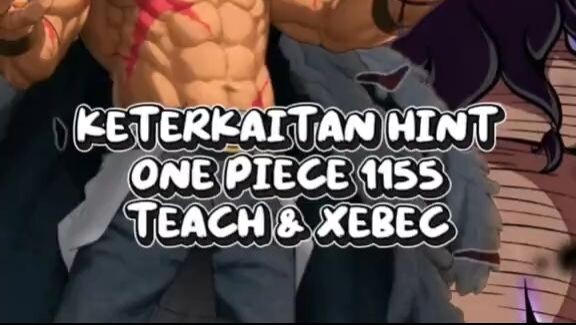 hint one piece 1155