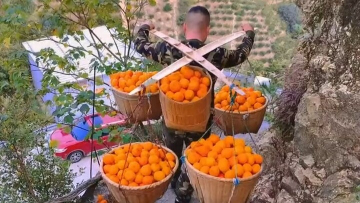The 10 fruits with the highest domestic production in China