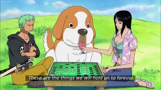 one piece 443