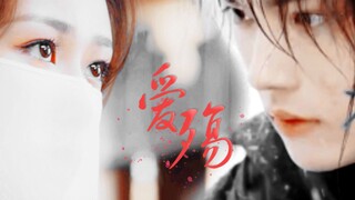【爱殇】so紫|许凯X杨紫|厉尘澜X锦觅 你是我的边疆 （傻白甜总是容易招惹神经病2）