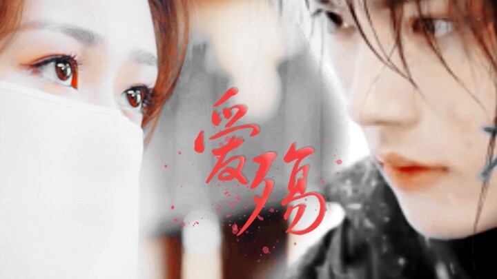 【爱殇】so紫|许凯X杨紫|厉尘澜X锦觅 你是我的边疆 （傻白甜总是容易招惹神经病2）