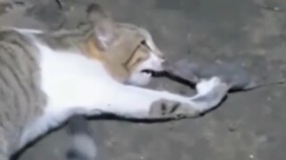 ???