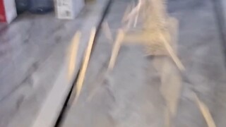 Fun Dominoes Made of Popsicle Sticks