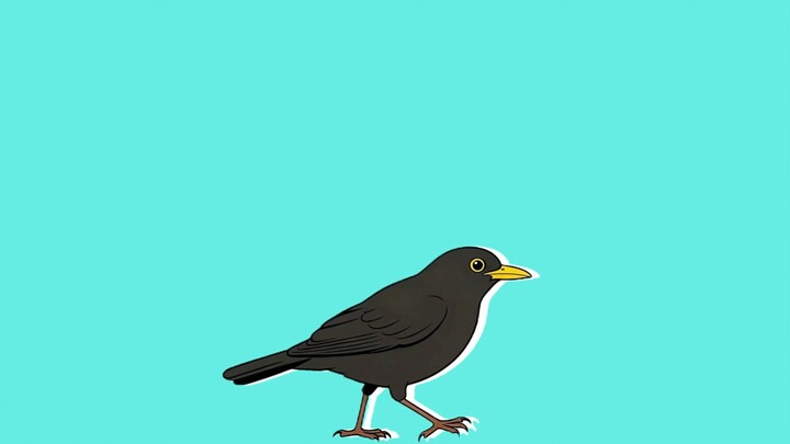 If you still don’t recognize a Eurasian blackbird after watching this, I’ll sic a bird on you.