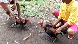 rapapap