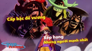 Cấp bậc đế vương: Xếp hạng những người mạnh nhất One Piece?