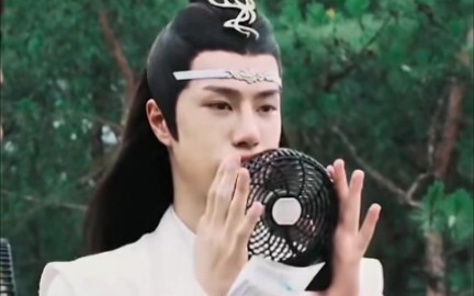Those cameras didn't notice Lan Zhan