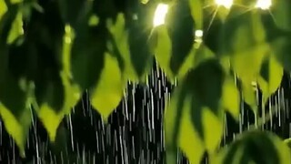 แม่เลี้ยงเดี่ยวแต่งงานฟ้าแลับกับคนแปลก หน้า ไม่รู้ว่าเขาอคิพ่อของลูก