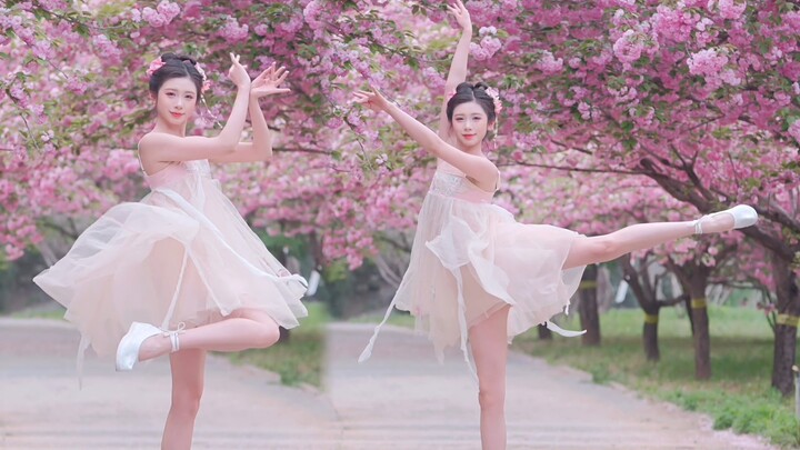 ตำหนักกว่างฮั่น·ซากุระร่วงหล่นสู่โลกมนุษย์ ท่าร่ายรำเดียวพาฝันหวนคืนสู่ตำหนักกว่างฮั่น