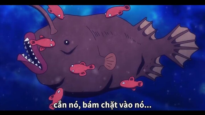 Cá phóng điện có thể thoát khỏi bủa vây không ? #anime