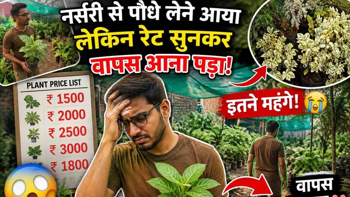 Gold prices is less then plant prices 💰😱