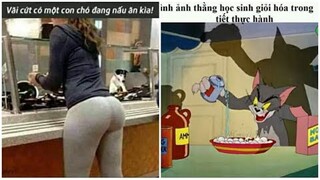 Ảnh Chế Hài Hước || Tổng hợp meme hài hước trên MXH | Phần 7