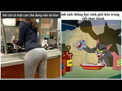 Ảnh Chế Hài Hước || Tổng hợp meme hài hước trên MXH | Phần 7