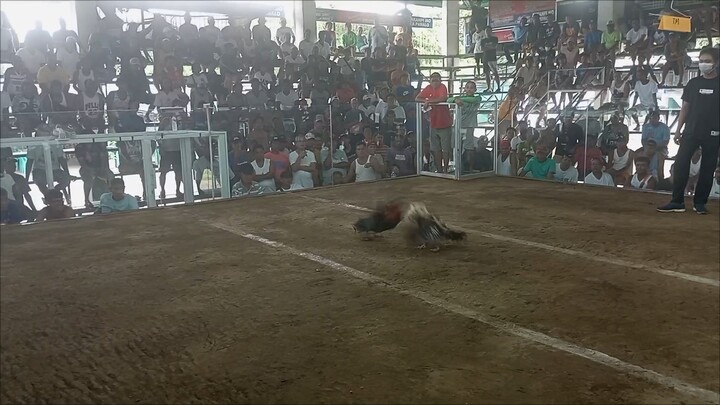 first fight 2 hits ulutan