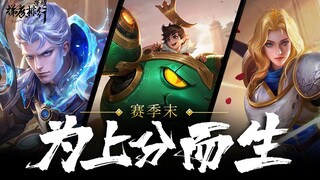 [Honor Tier Ranking 44] The end-of-season rank-boosting powerhouse—just pick him and you're done!