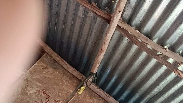 นอนเล่น