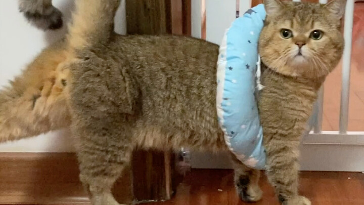 ฉันเองก็ไม่รู้เหมือนกันว่านี่ถือเป็นทักษะใหม่หรือเปล่า หรือว่าเป็นผลข้างเคียงอะไรสักอย่าง?