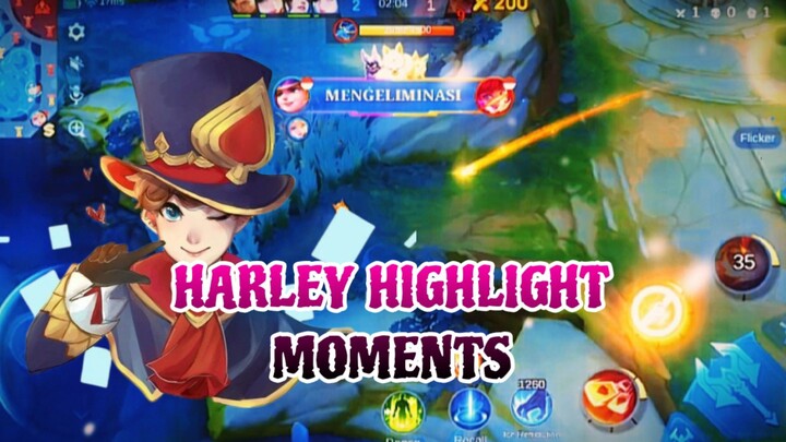 HARLEY SURPRISE MOMENTUM