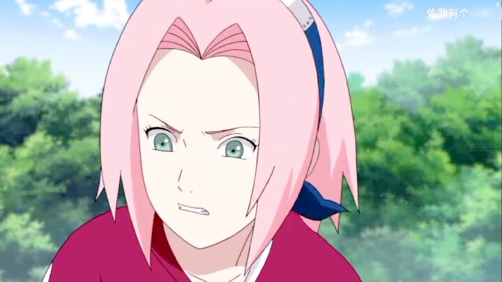 【Sakura】 Aliran air yang panjang