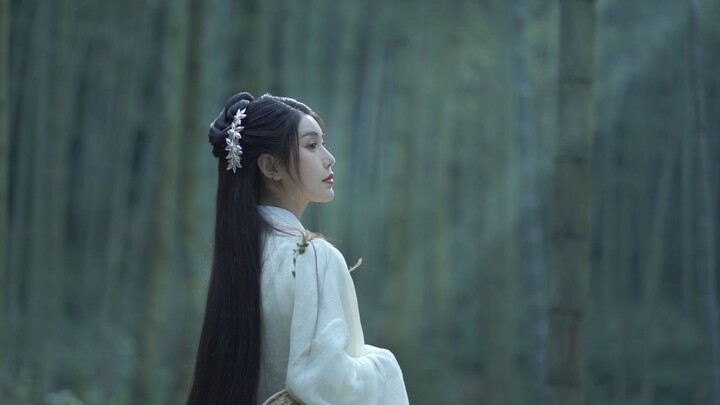 【墨衣】我与春风皆过客 你携秋水揽星河