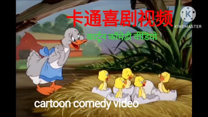 cartoon comedy video 卡通喜剧视频